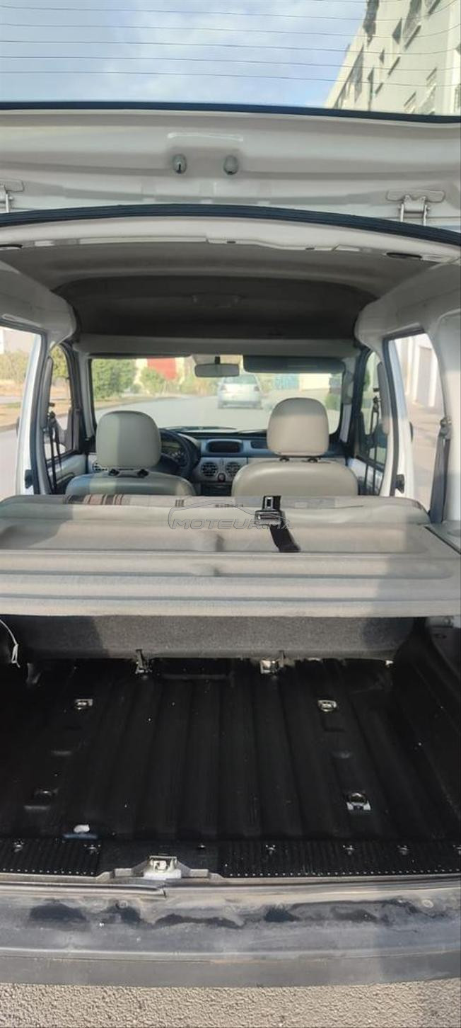 Kangoo dewana