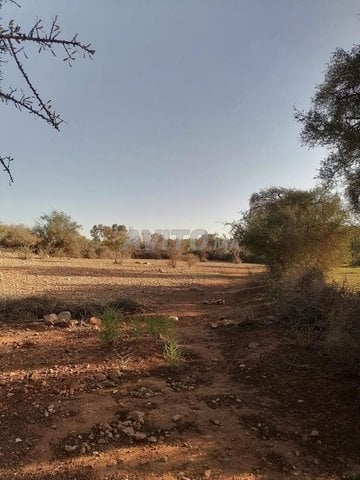 Terrain titré Azrarag Agadir