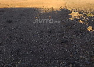 Ferme 8 Hectares à vendre