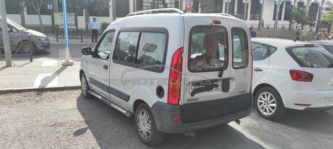 kangoo