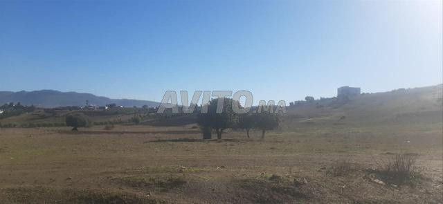 فرصة نادرة بقعة أرضية محفظة بثمن مغرٍ قرب تطوان