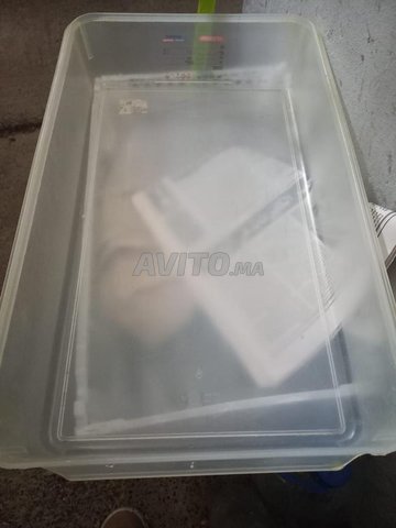 صندوق بيتزا