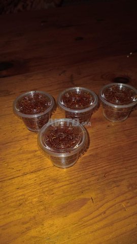 زعفران تالوين