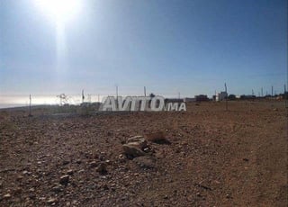 Vendre terrain Taghazout 3600 m près de plage 4 km