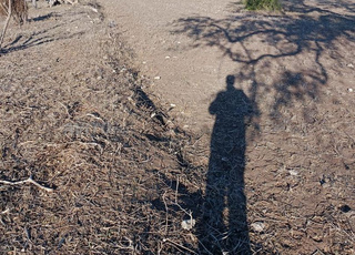 Train villa à vendre