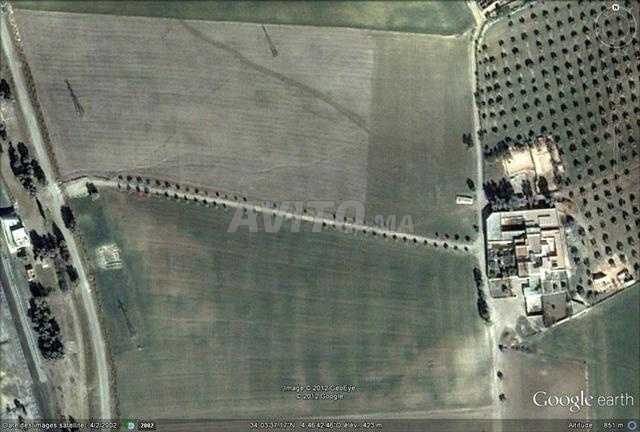 Ferme agricole 28,5 hectares titré Ain Sbit