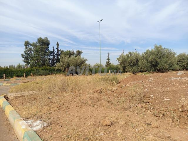 Terrain de villa à vendre à Beni Mellal, superficie 313, 3 façades - 2