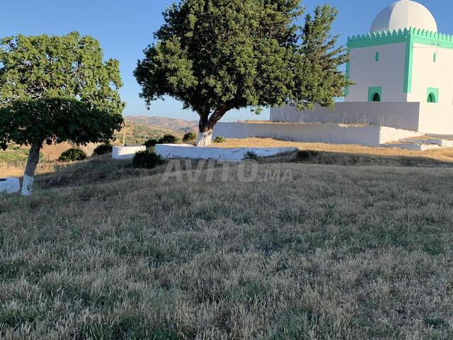 Terrain à vendre - Aïn Hamra, Tombeau de Sidi Ali, 1000m - 2