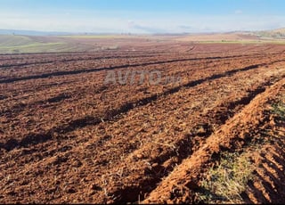 Deux hectares titrés, bonne affaire à 54 millions complète