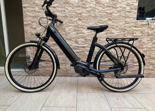 Vélo électrique haut de gamme