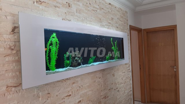 حوض سمك حسب الطلب