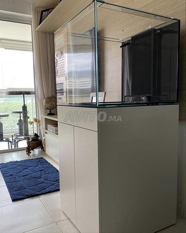 حوض سمك حسب الطلب