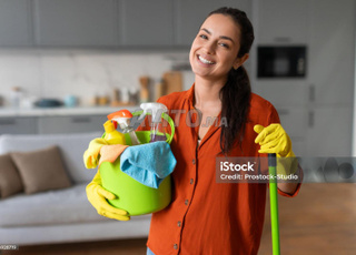 Femme de Ménage, Nounou, Cuisinière