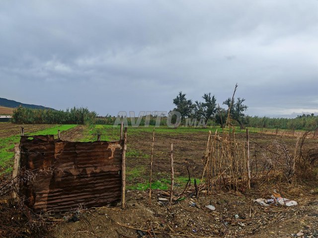Jardin agricole d'une superficie de 3000 mètres