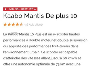 Trottinette Électrique