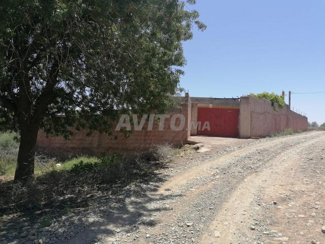 Terrain 8000m² avec maison et jardin à vendre - 2