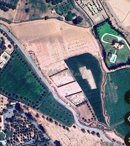 Terrain 1000 M2 à vendre