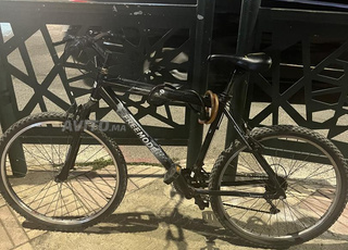 تجربة فريمود الحضرية