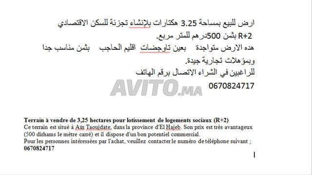 Trois hectares et quart pour lotissement à vendre à Aïn Taoujdate - 2