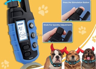 collier de dressage pour chien