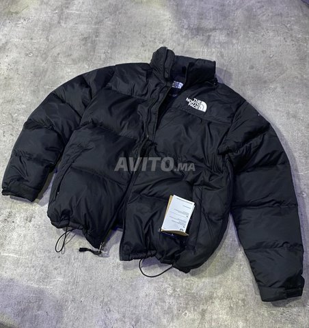 ذا نورث فيس