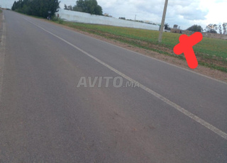 Terrain de 10000m² à louer pour dépôt