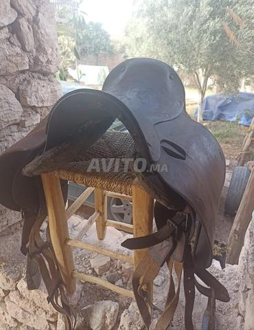 2 سرج للخيول