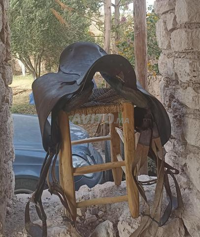 1 سرج حصان بني جلدي