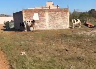 Amateurs de bonnes affaires, terrain en or 😍‼️