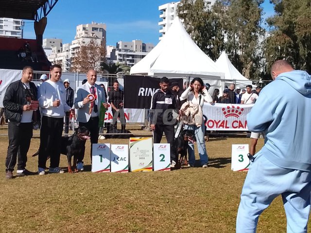 روت وايلر ذو نسب