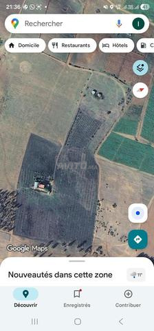 Terrain agricole à vendre Sidi Abderrazak Tiflet