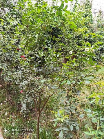 Villa 6 chambres route sidi abdelahghiate