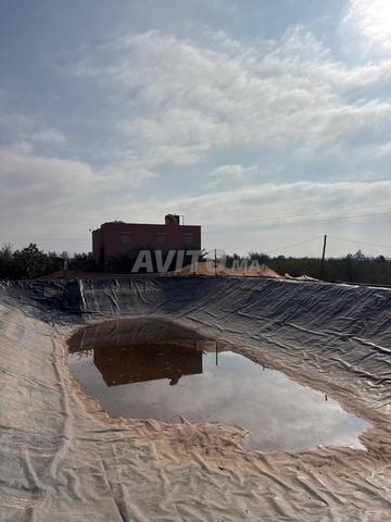 Ferme à vendre à Issen 47km d'Agadir