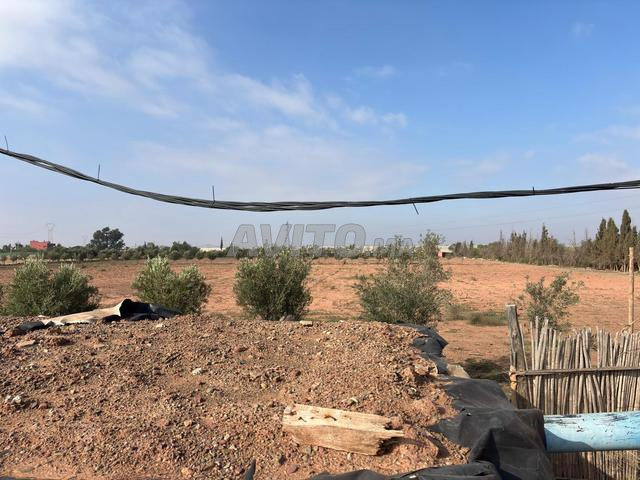 Ferme à vendre à Issen 47km d'Agadir