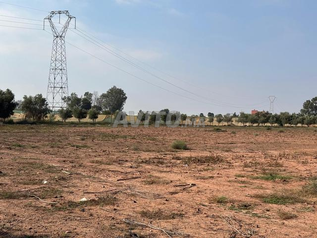 Ferme à vendre à Issen 47km d'Agadir