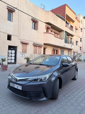 Corolla Millenium Top