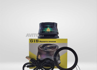 Haut-parleur magnétique [ Stock disponible ]
