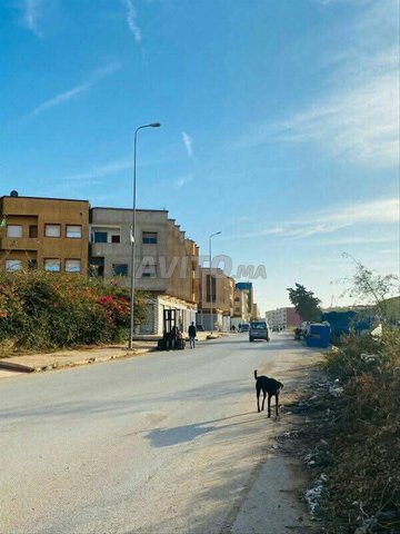 أرض غير مقسمة للبيع، 1500 متر مربع بسعر 1000 درهم.