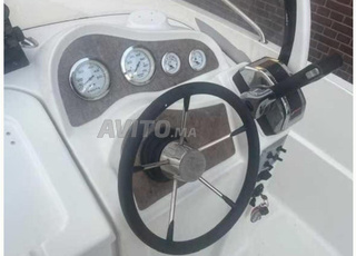 Quicksilver 550 moteur Mercury 75hp