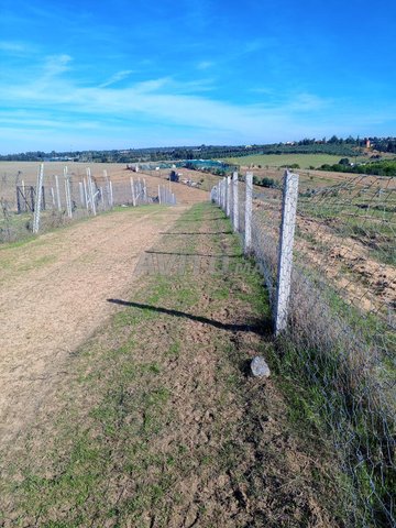 أرض رائعة 17000 متر قريبة جدا من المدينة