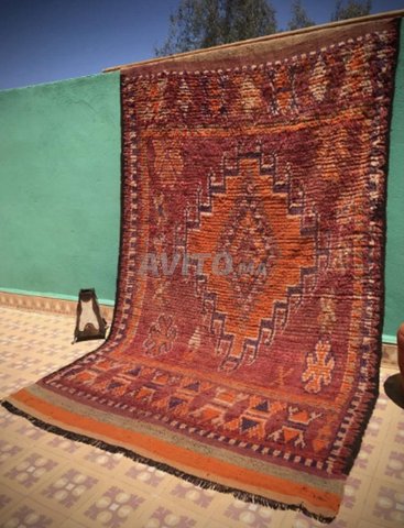 سجادة عتيقة من الصوف الطبيعي 258 × 158 سم