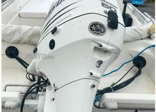 Laguna 430 johnson 50hp