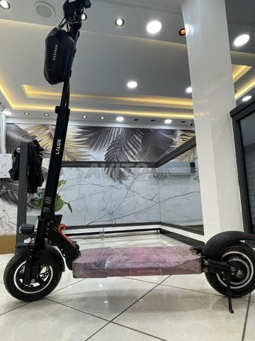 Trottenitte electrique lalux