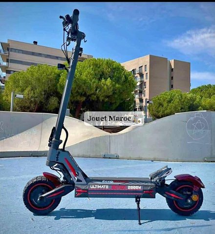 الدار البيضاء توصيل مجاني