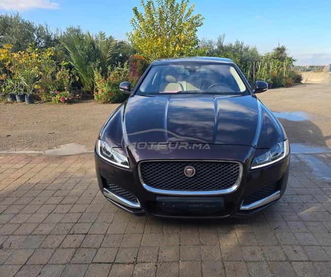 Jaguar XF Diesel Automatique 2018 à Fès