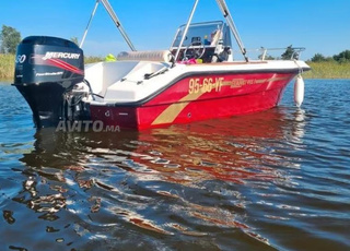 Elan 495Gt moteur Mercury big foot 60hp