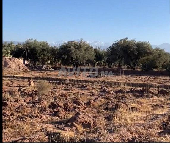 À Vendre – Terrain à Sidi Abdellah Ghiyat