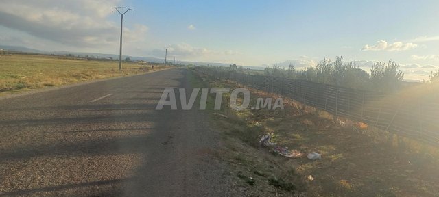 2 hectares sur route à Boufekrane, opportunité