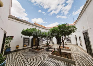 Joli Riad avec douiriya titre centre médina