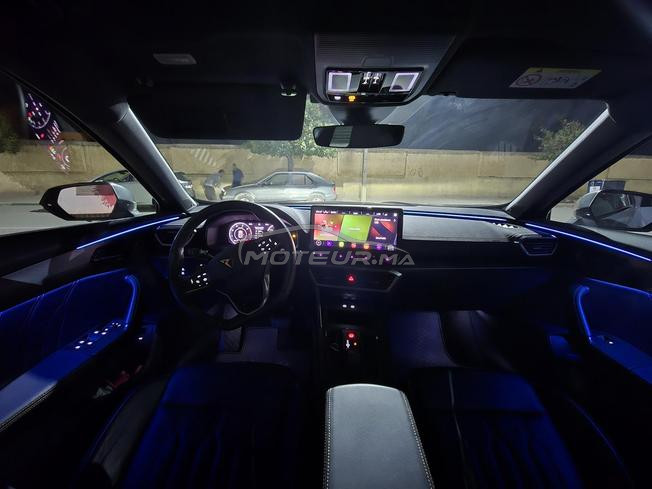 cupra 2023